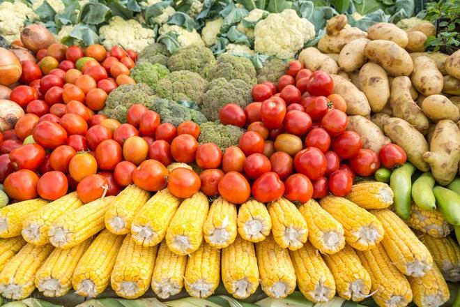 食用農產品全知道 從田間到餐桌的自然饋贈